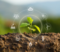Specialties & <br>Green Solutions